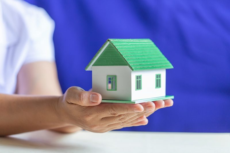 Housing-&-Adaptation-Support-LIVEWEB-1